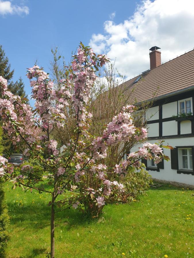 Lusatia Farm Löschney Exterior foto