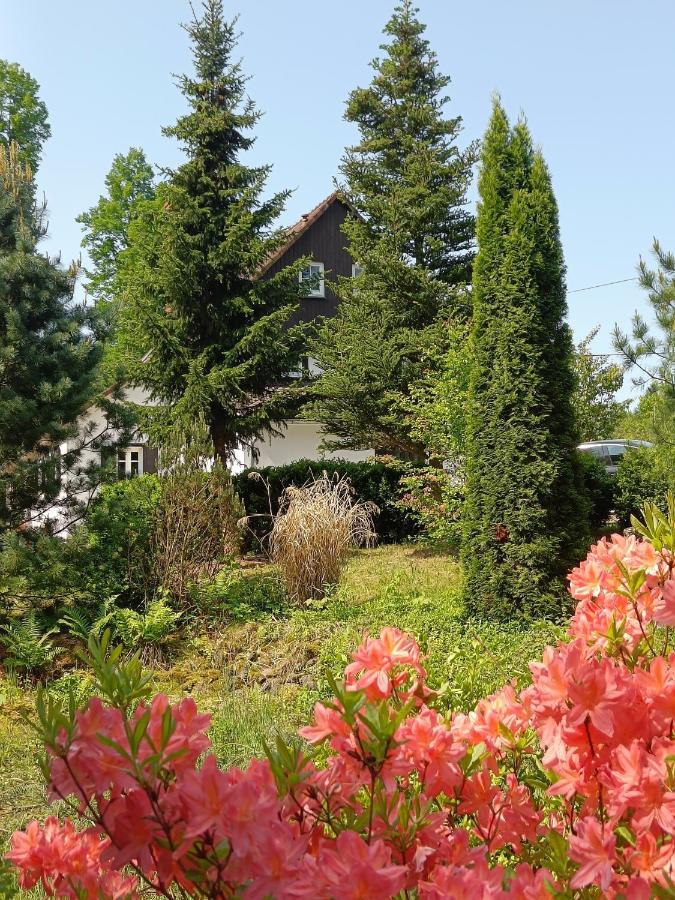 Lusatia Farm Löschney Exterior foto